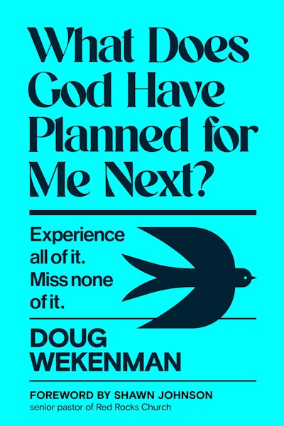 What Does God Have Planned for Me Next?