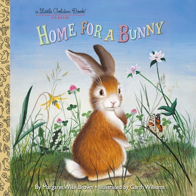 Home for a Bunny