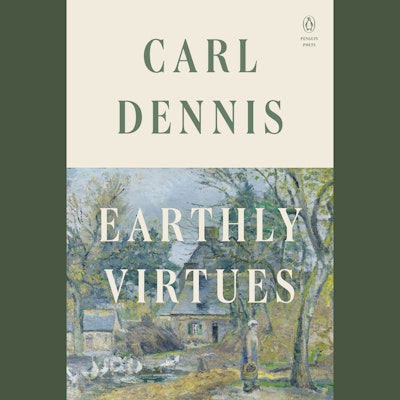 Earthly Virtues
