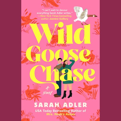 Wild Goose Chase