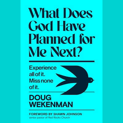 What Does God Have Planned for Me Next?