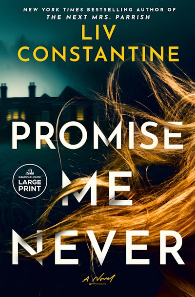 Promise Me Never