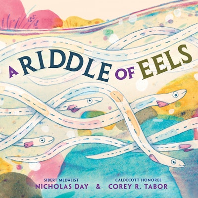A Riddle of Eels