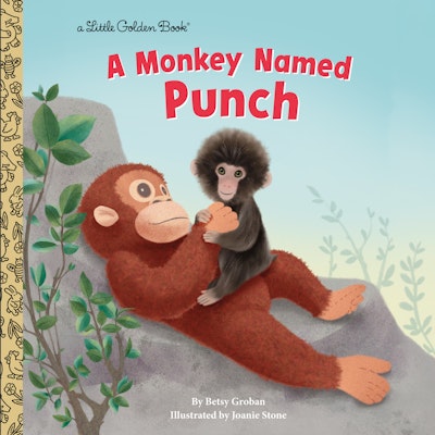 A Monkey Named Punch