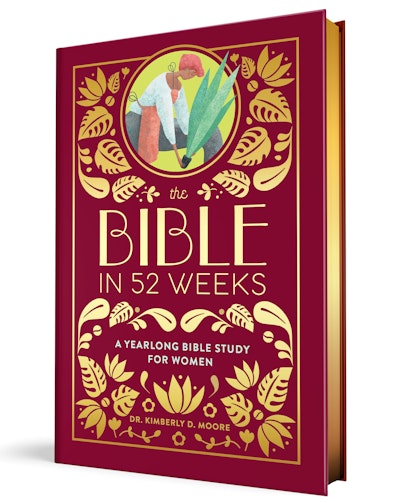 The Bible in 52 Weeks