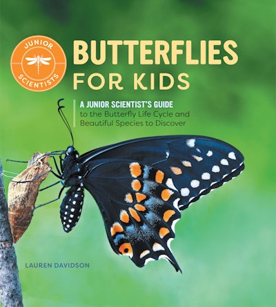 Butterflies for Kids