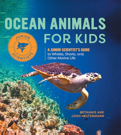 Ocean Animals for Kids