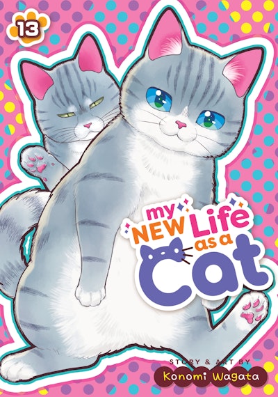 My New Life as a Cat Vol. 13