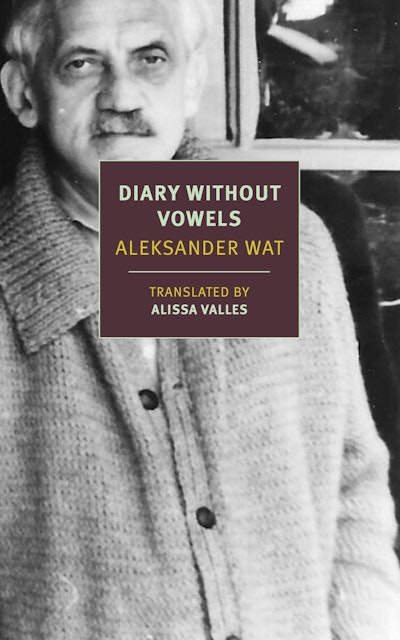 Diary Without Vowels