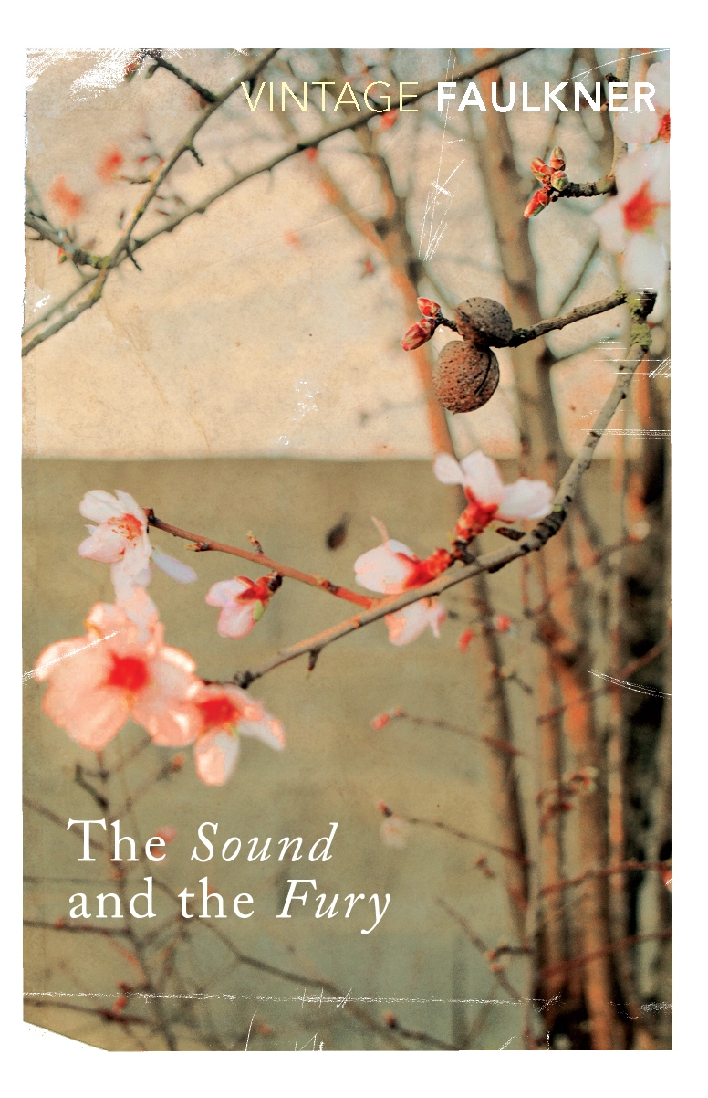the-sound-and-the-fury-by-william-faulkner-penguin-books-new-zealand