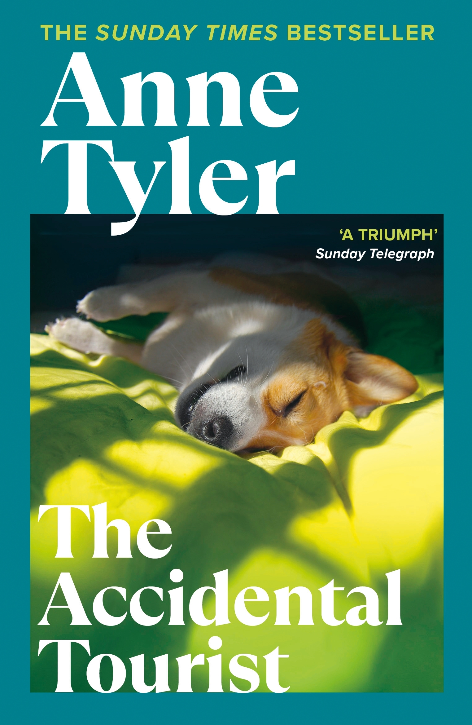 the accidental tourist book review guardian