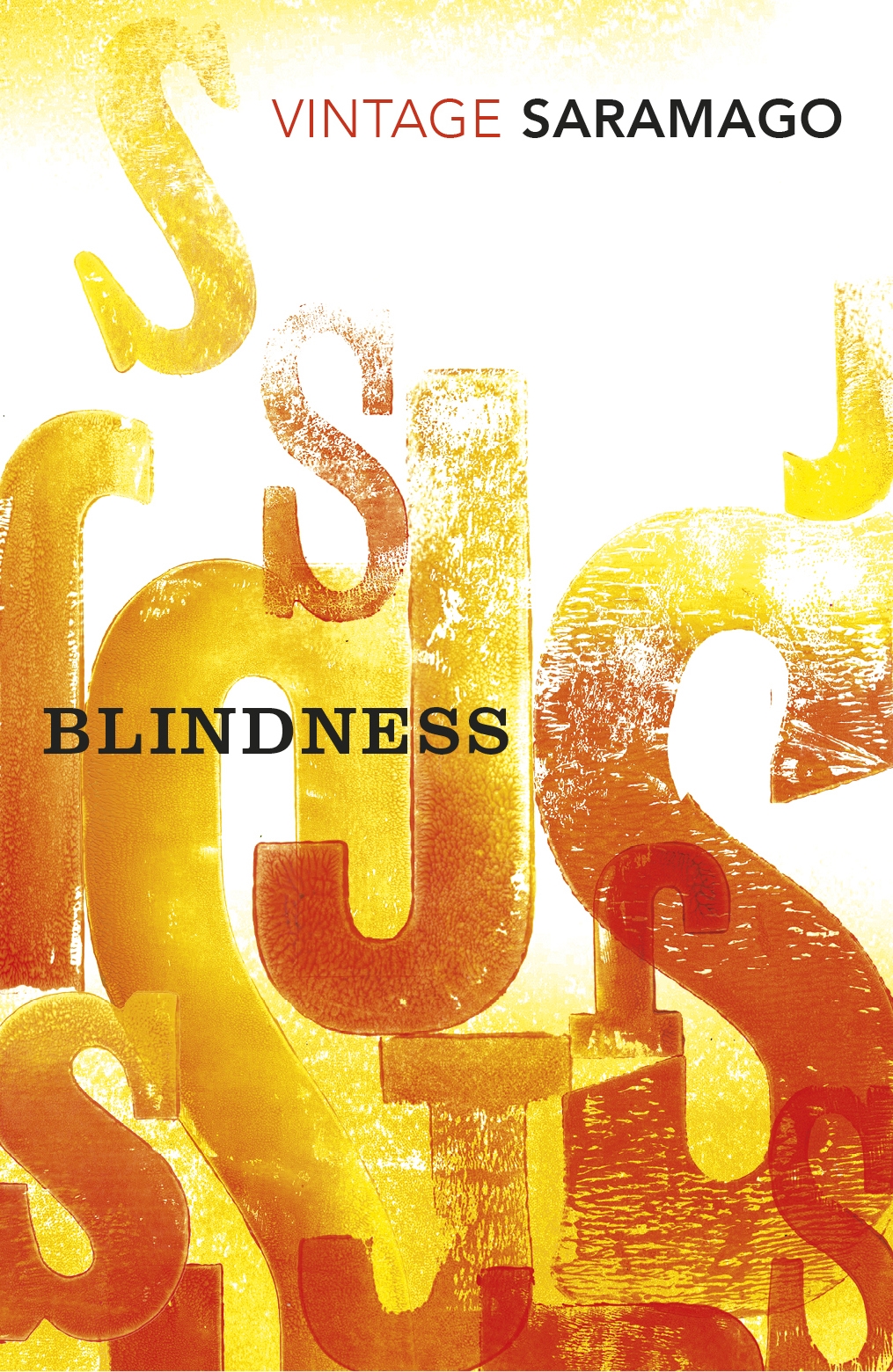Blindness (Harvest Book)