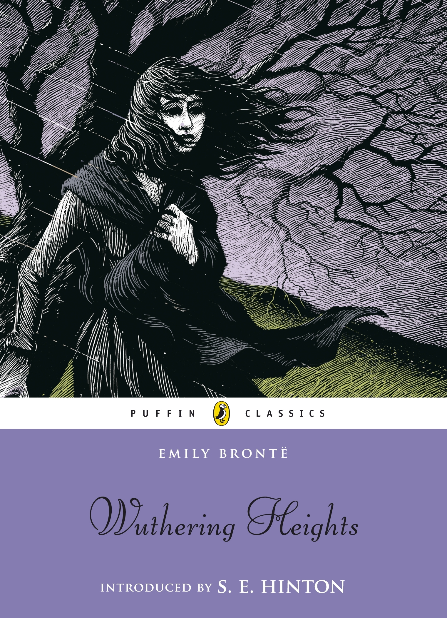 emily bronte wuthering heights essay