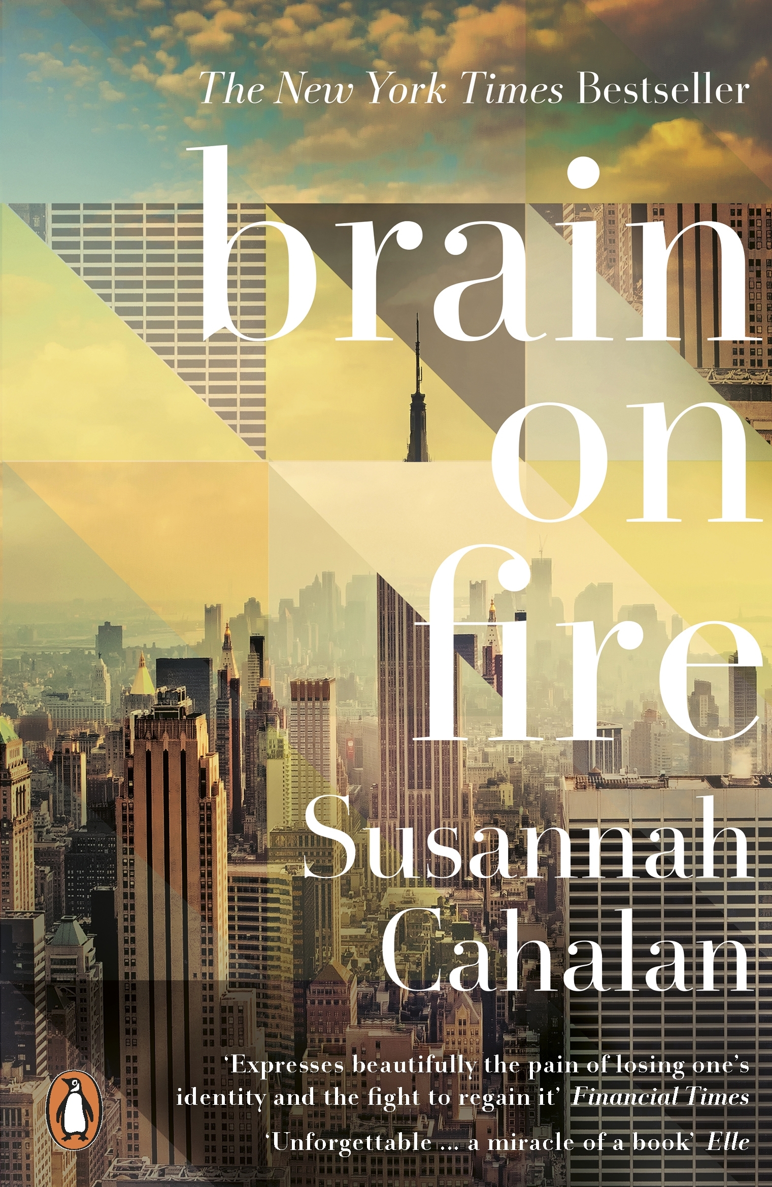 Susannah Cahalan Brain On Fire9780141975344