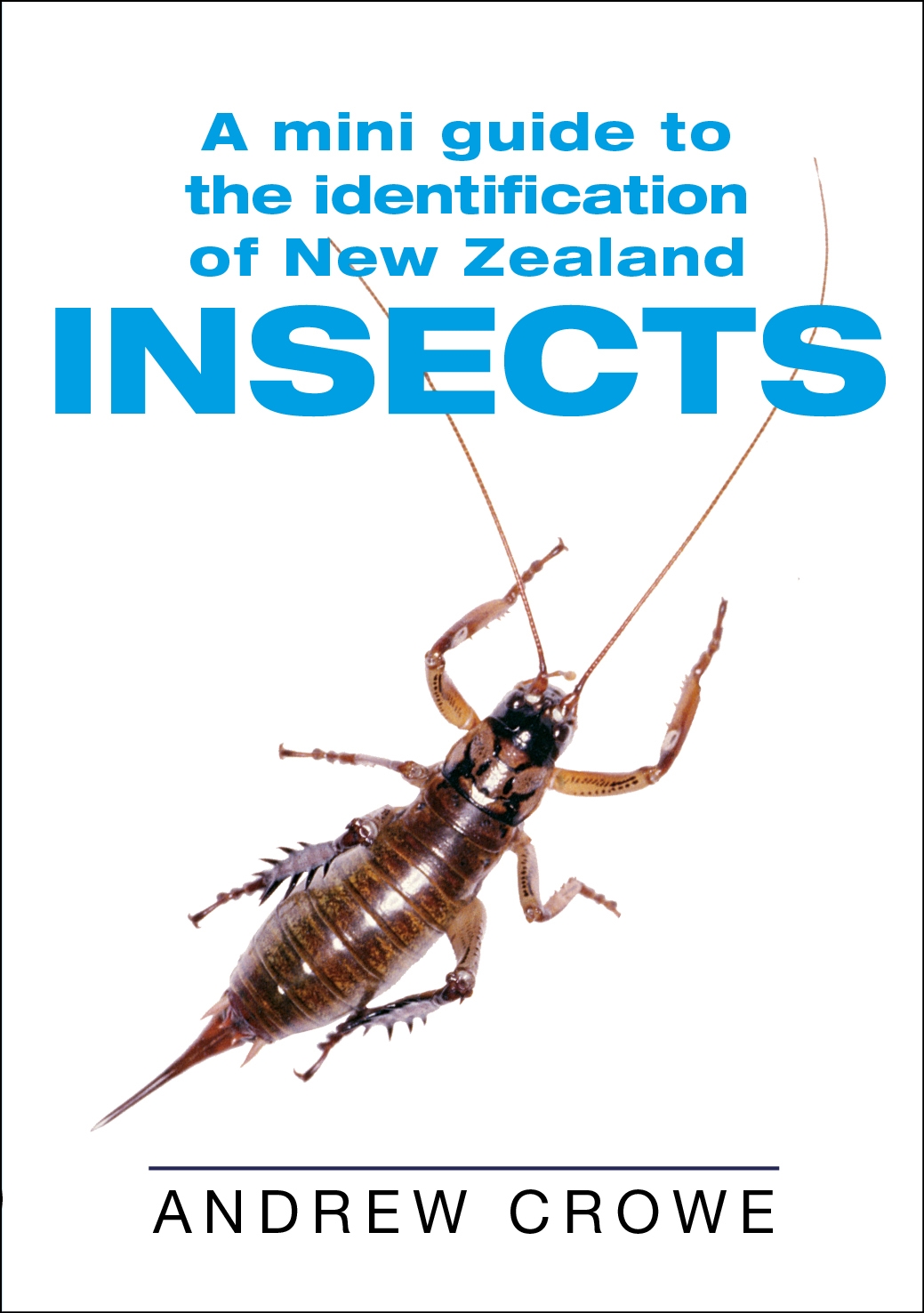 A Mini Guide To The Identification Of New Zealand Insects By Andrew Crowe Penguin Books Australia 4698