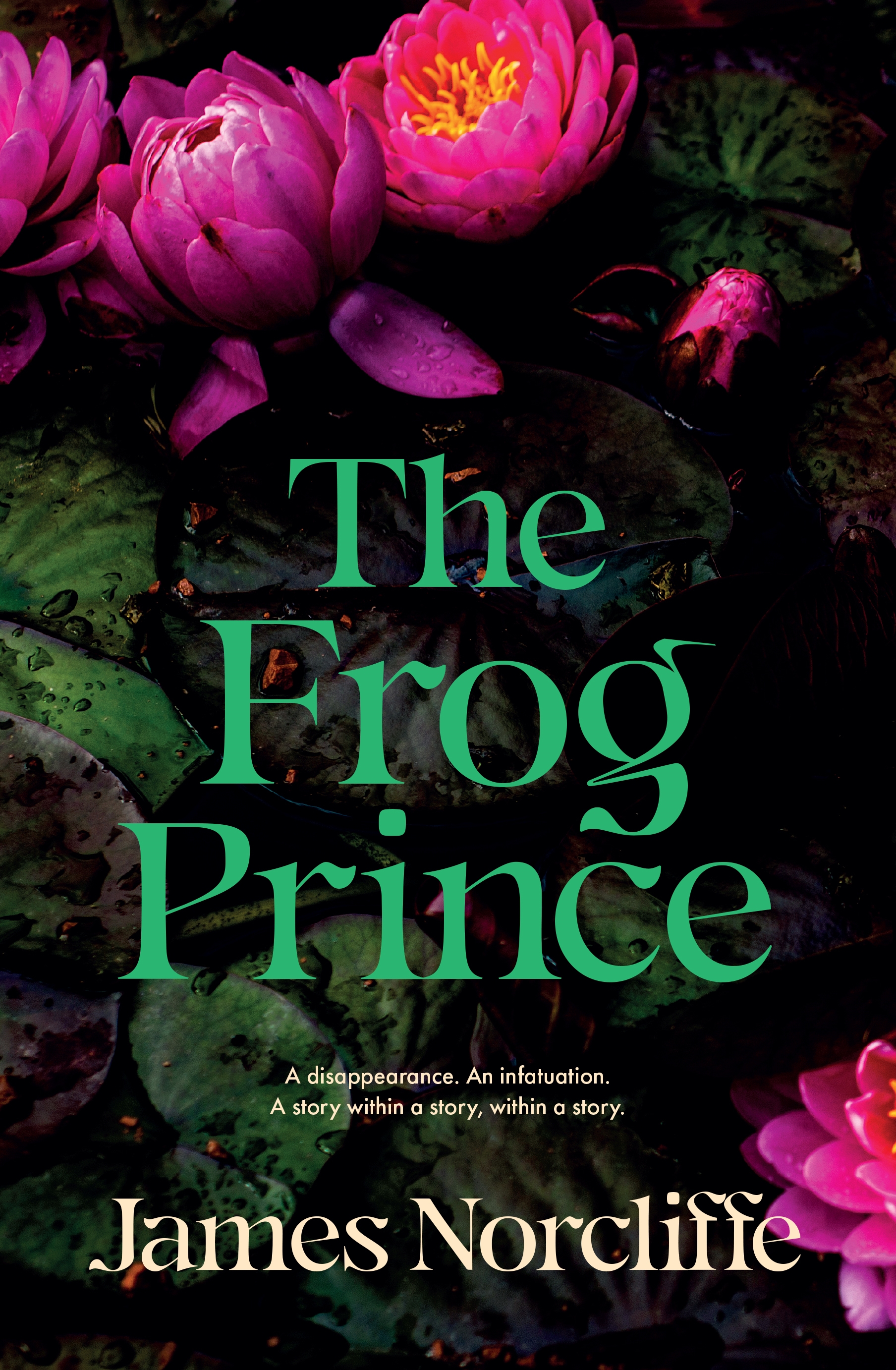 The Frog Prince by James Norcliffe - Penguin Books New Zealand