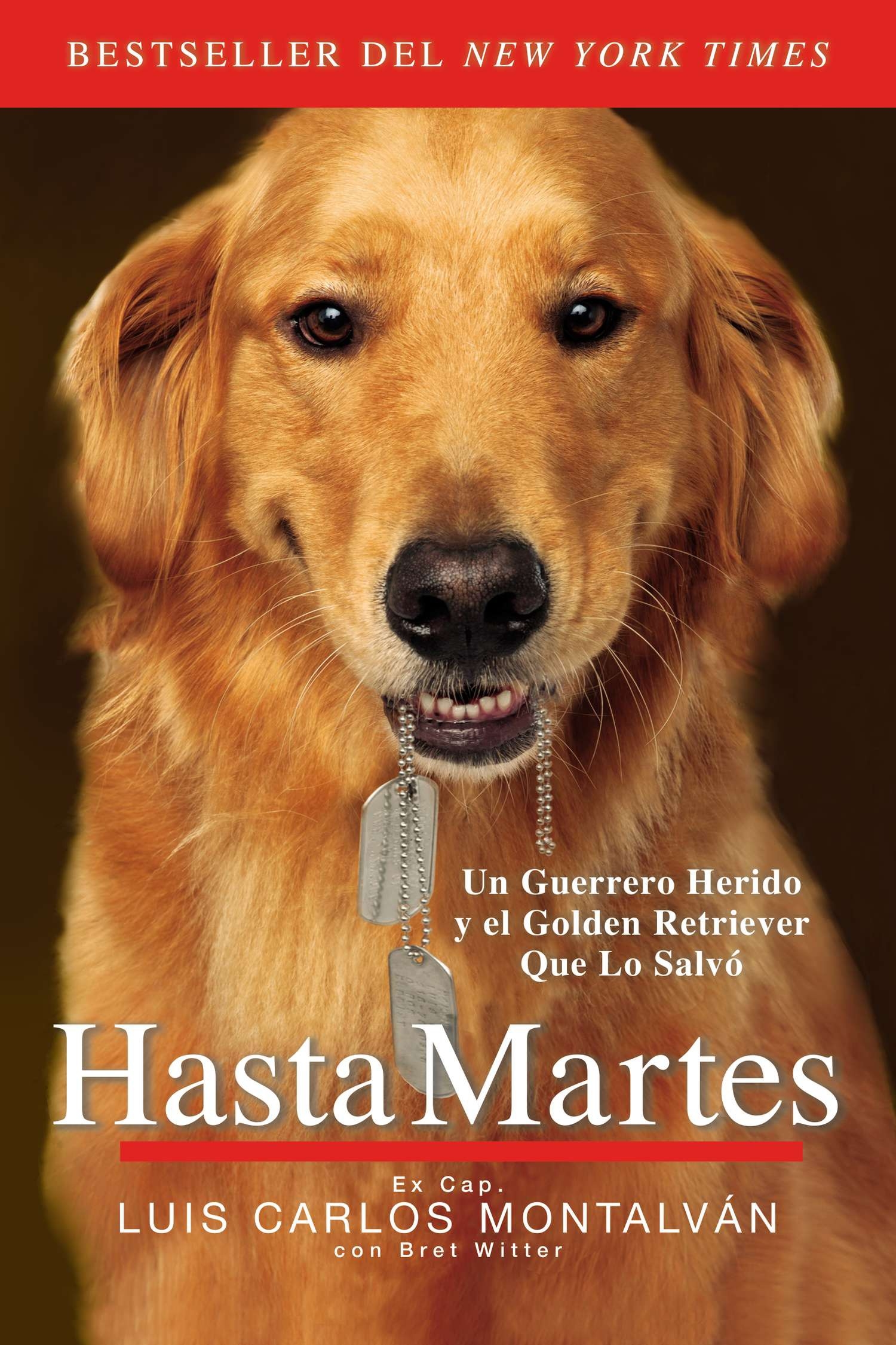 Hasta Martes By Luis Carlos Montalván Penguin Books New Zealand