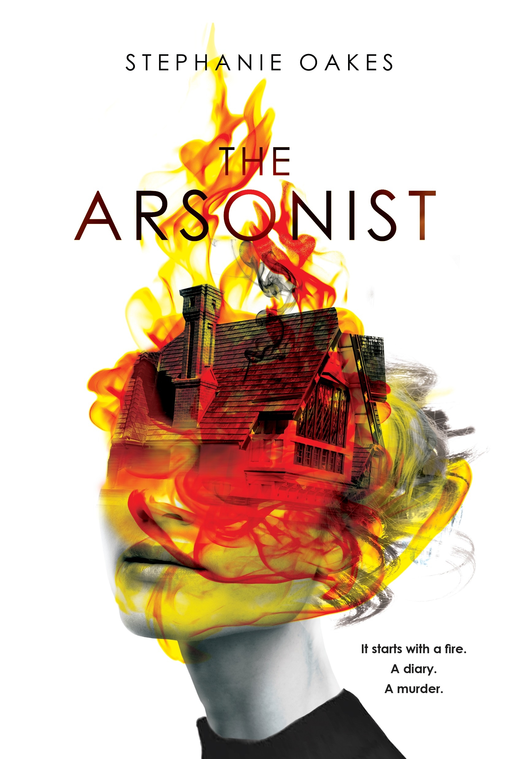 The Arsonist by Chloe Hooper