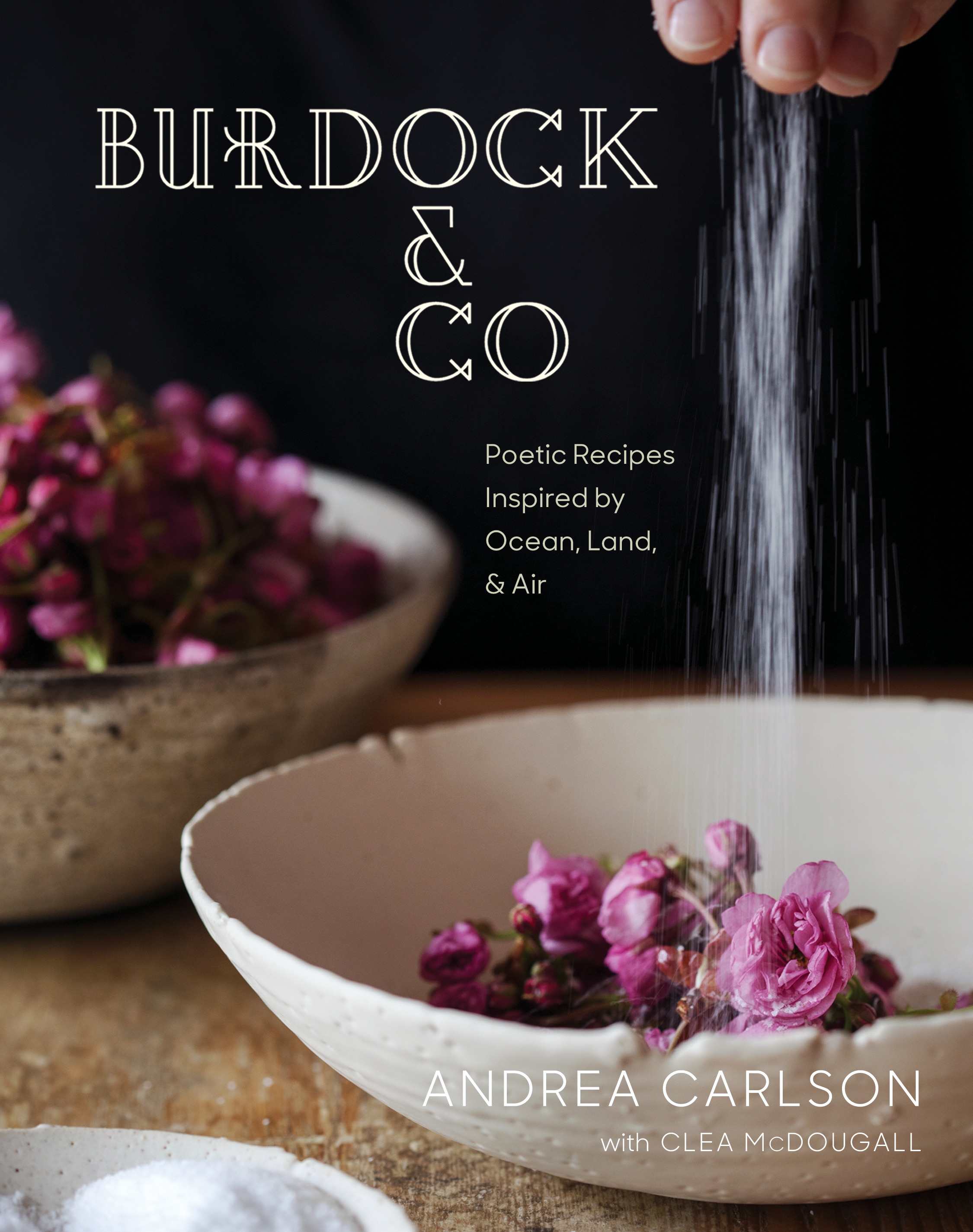 Burdock & Co by Andrea Carlson - Penguin Books Australia