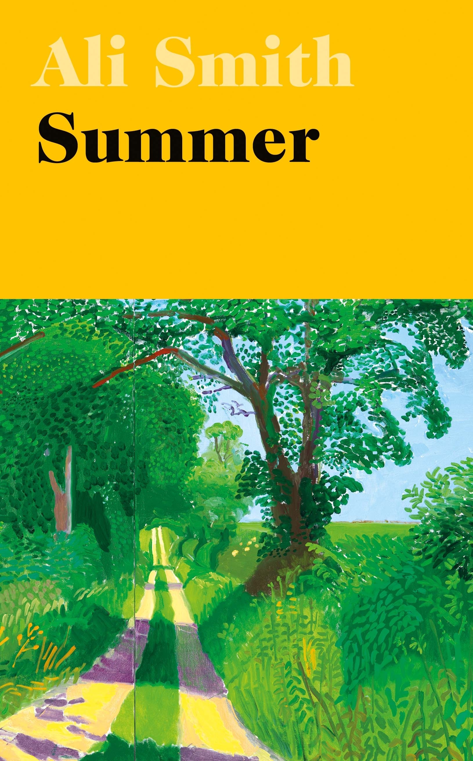 Summer By Ali Smith Penguin Books Australia