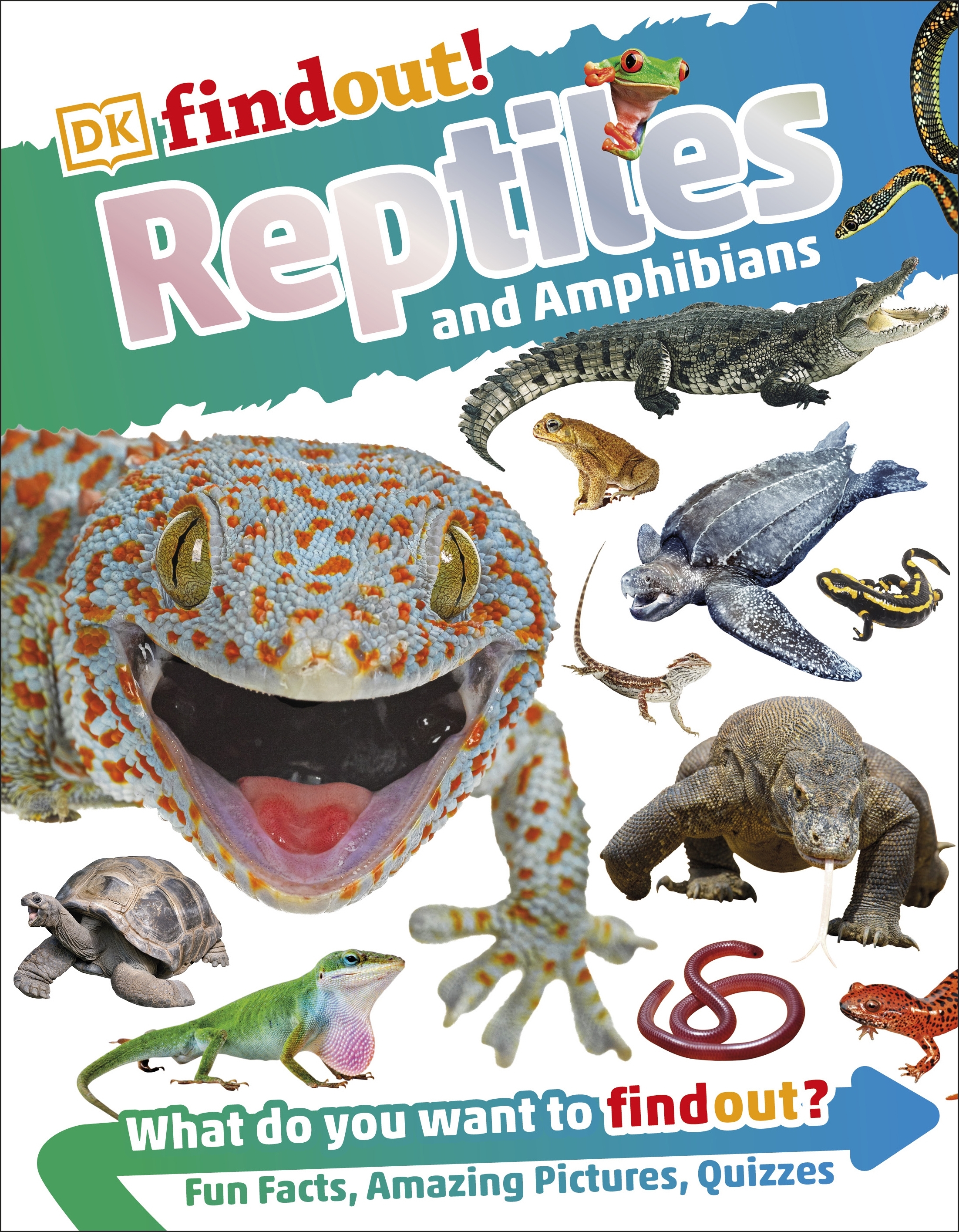 DKfindout! Reptiles and Amphibians by DK - Penguin Books New Zealand