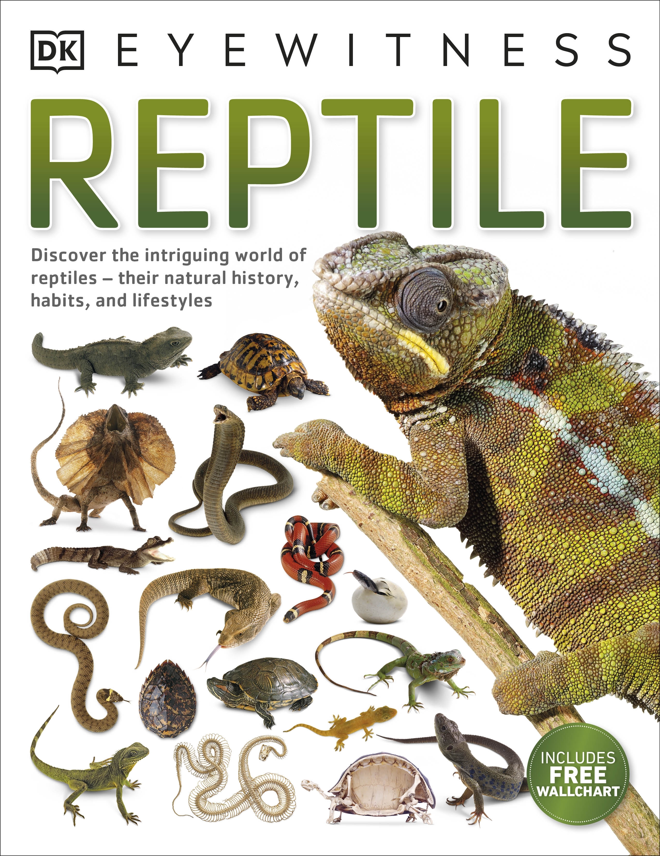 Reptile by DK - Penguin Books Australia