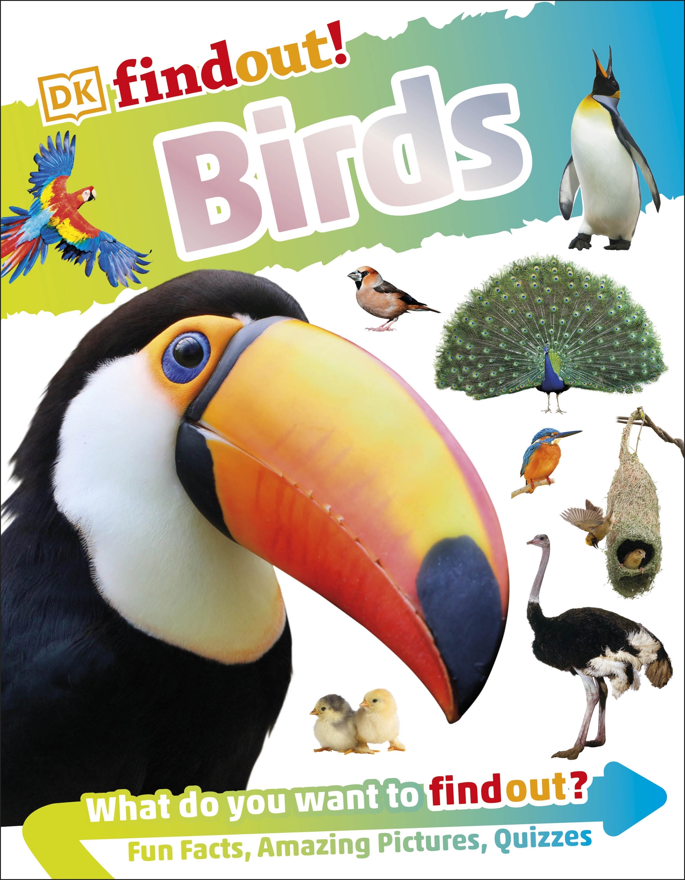 Dkfindout Birds By Dk Penguin Books Australia 