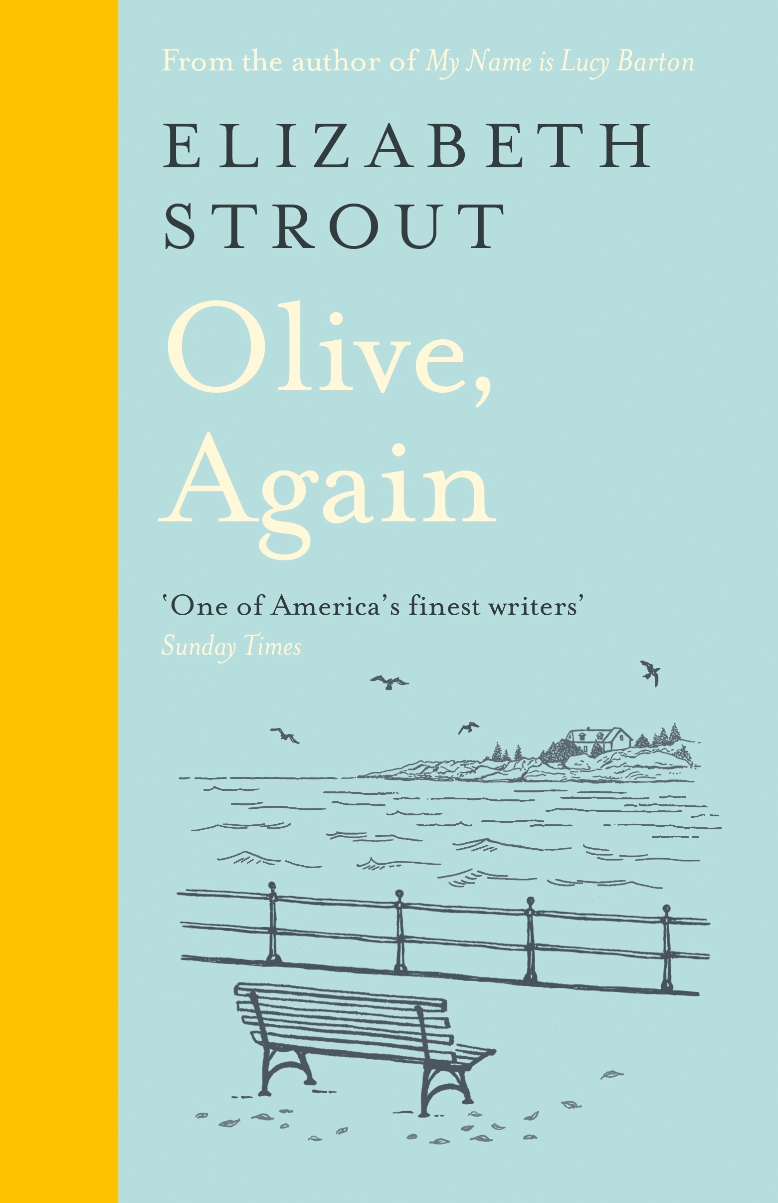 Image result for Olive, Again book