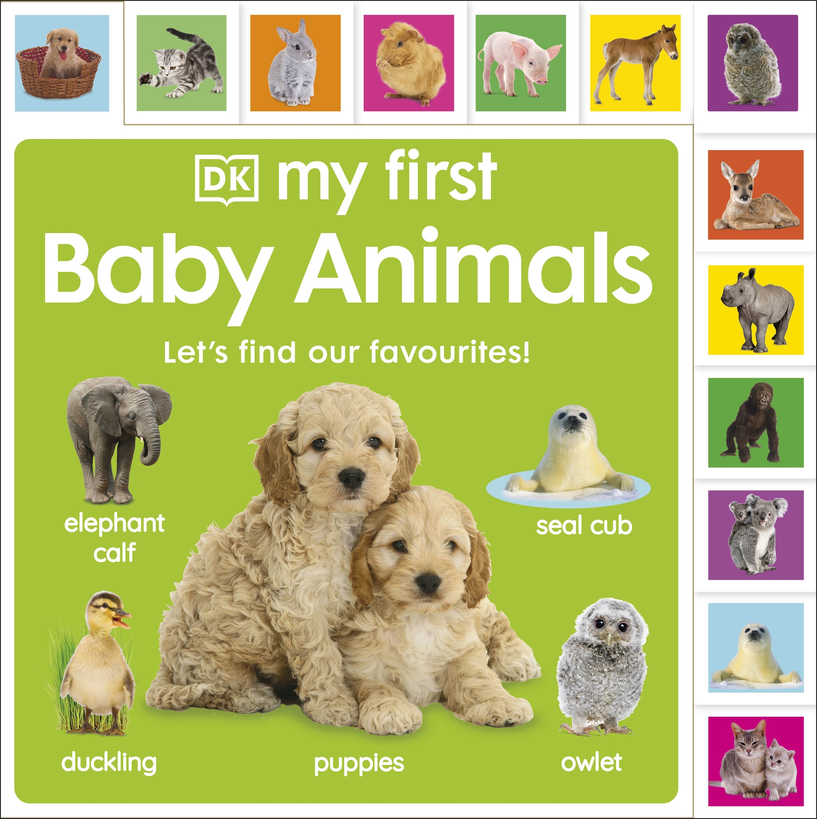 My First Baby Animals Let's Find our Favourites! by DK - Penguin Books  Australia