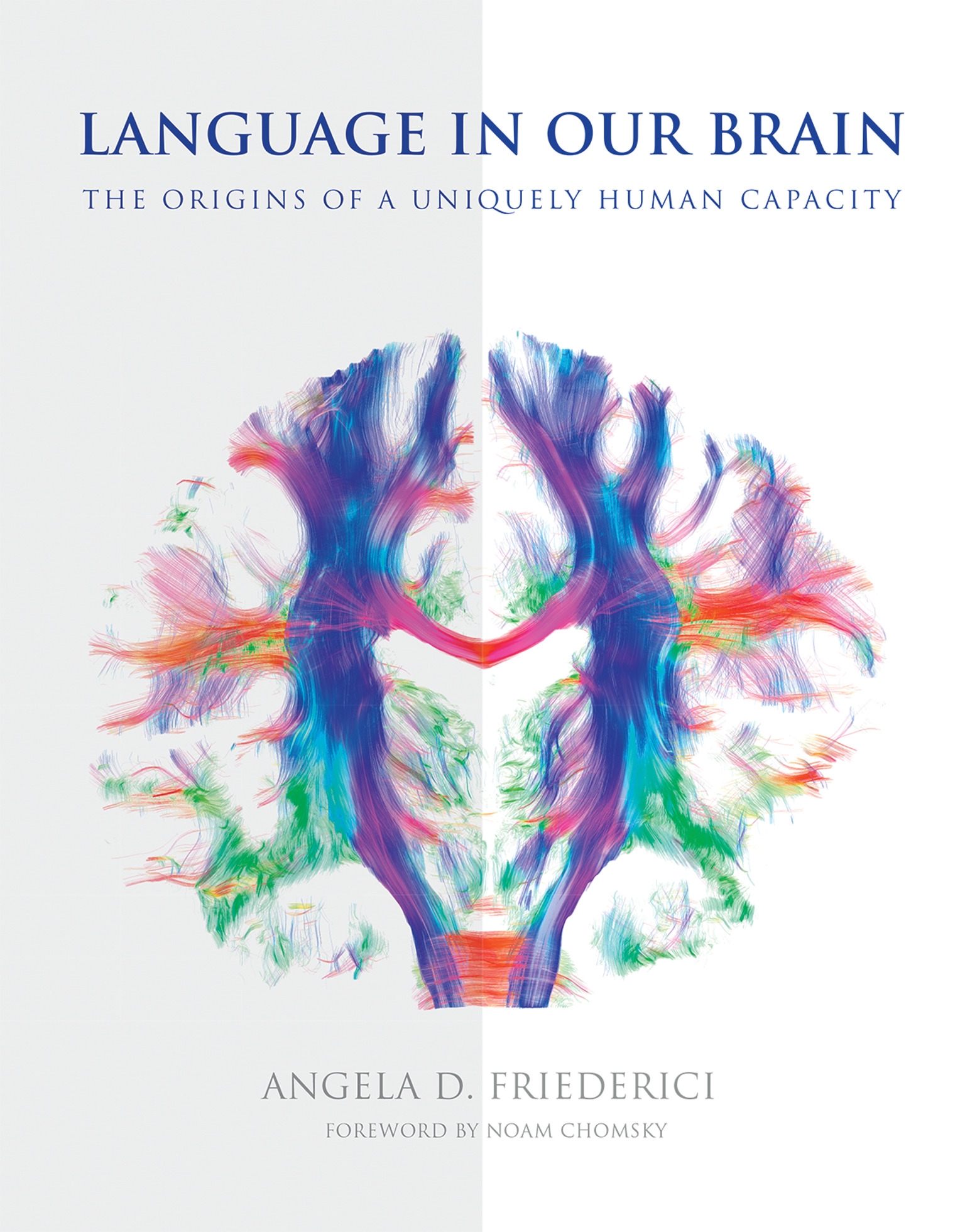 Language In Our Brain By Angela D Friederici Penguin Books New Zealand