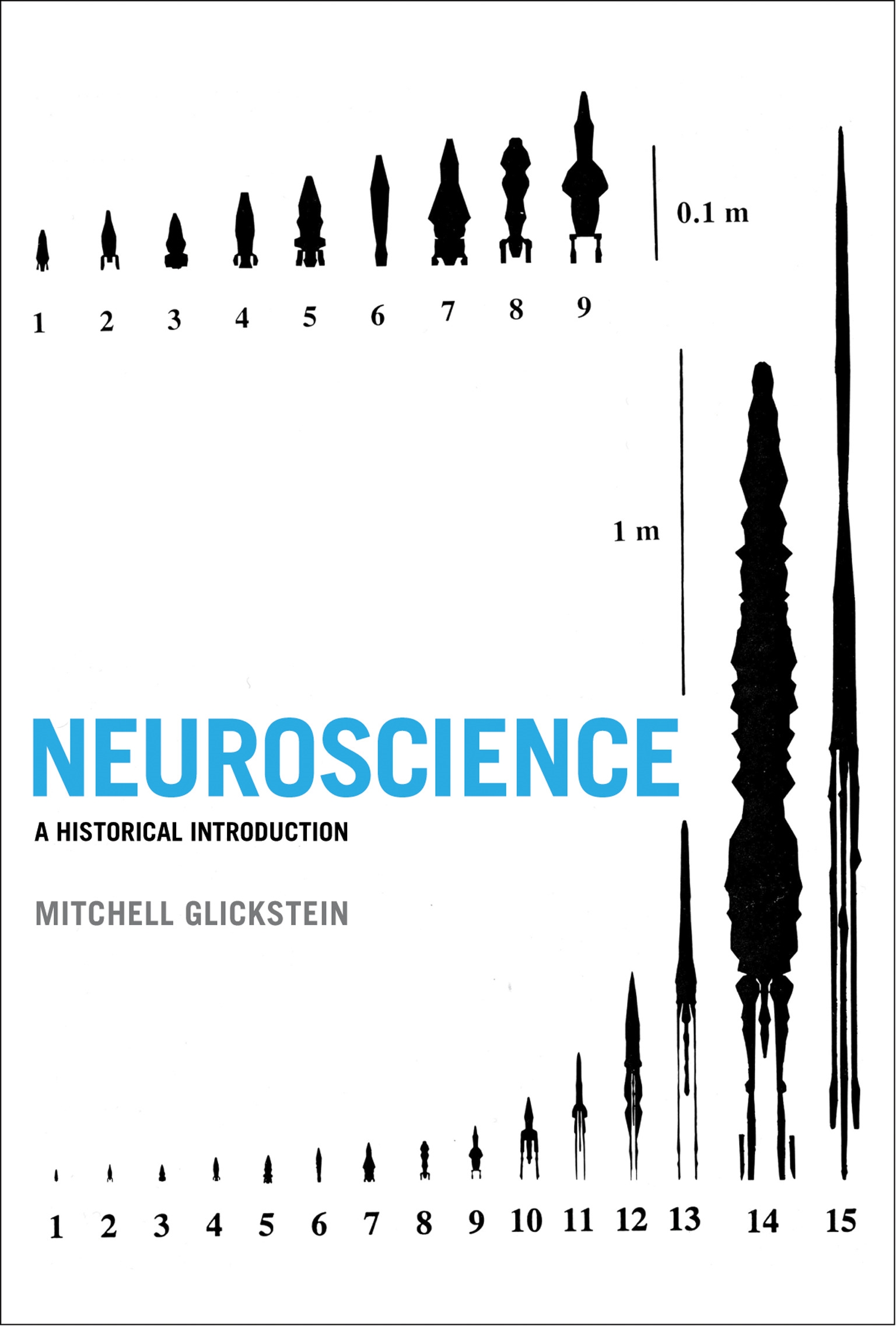 The Neuroscience Of Focus & Daydreaming - hx9nyzh