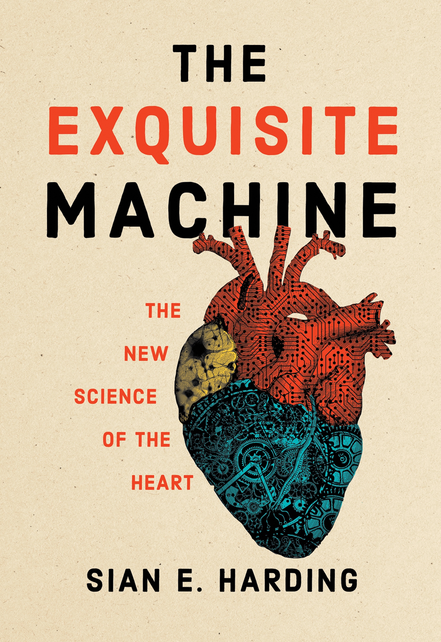 The Exquisite Machine by Sian E. Harding - Penguin Books New Zealand