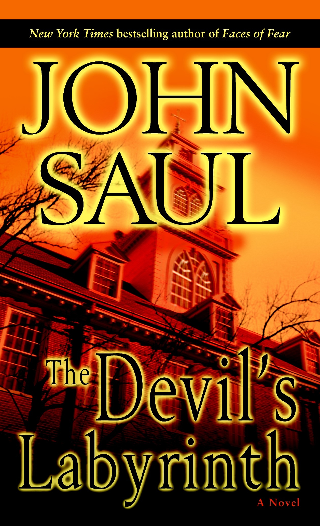 The Unloved by John Saul