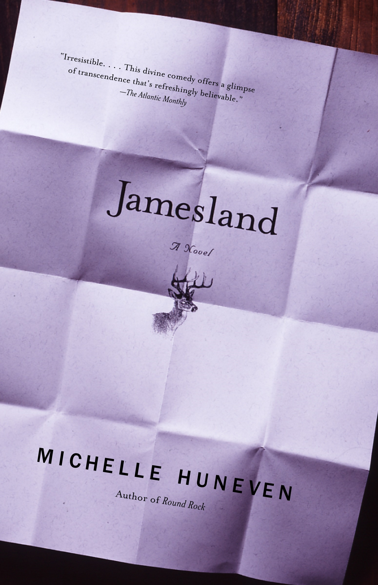 Jamesland by Michelle Huneven Penguin Books Australia