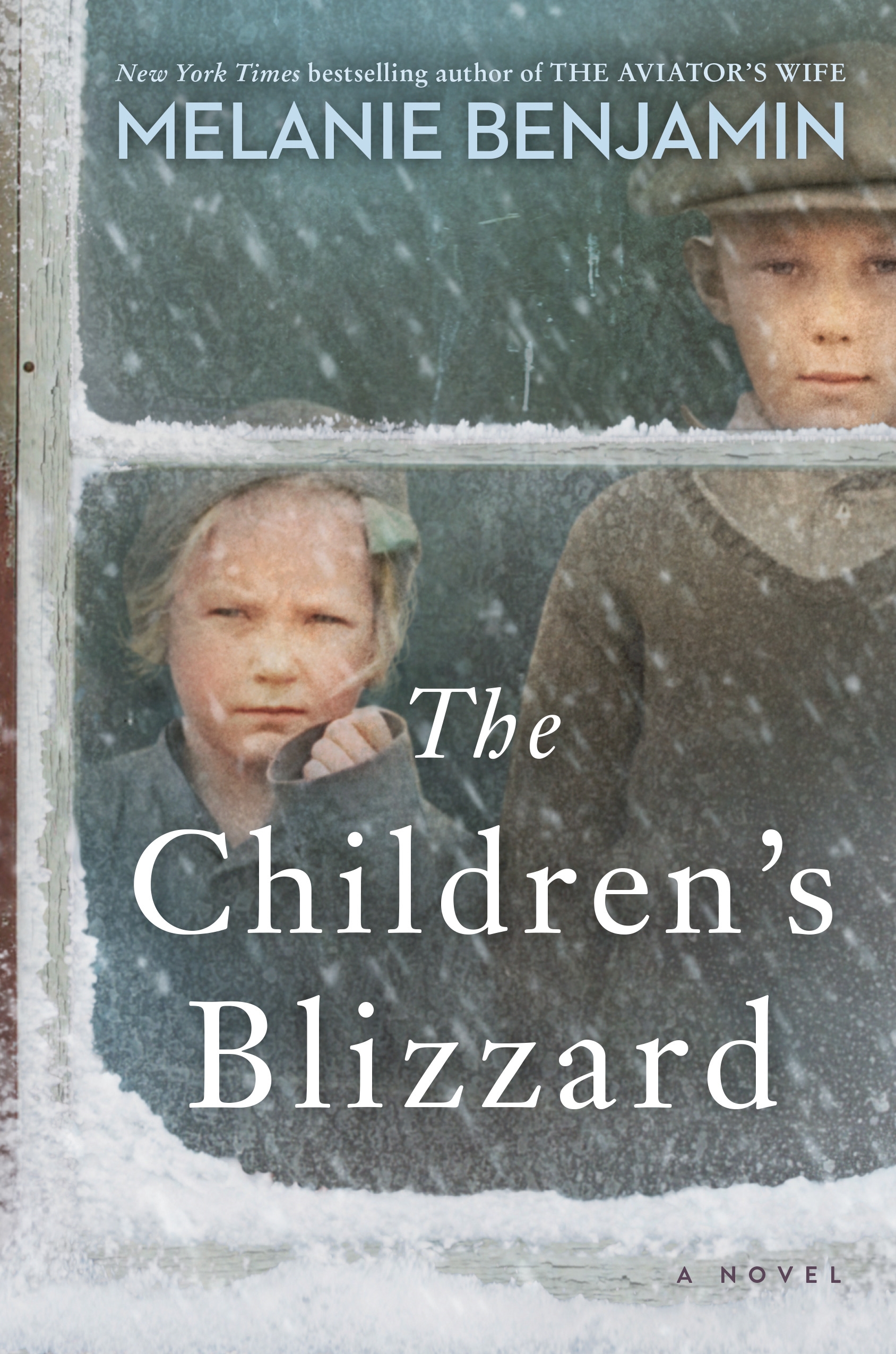 Blizzard by Cindy Rinaman Marsch