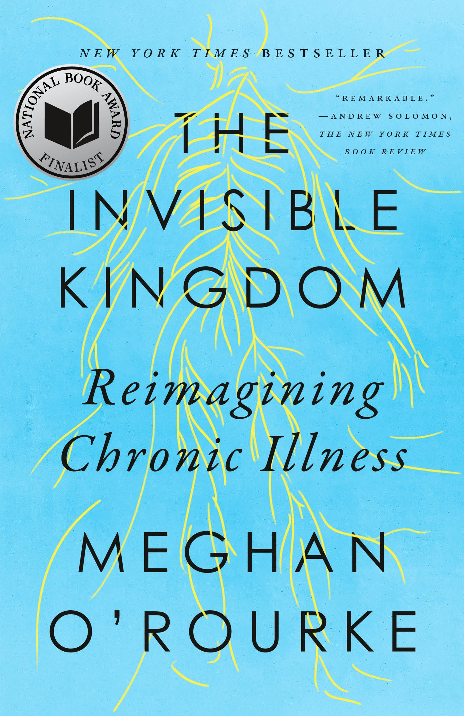 the invisible kingdom book review