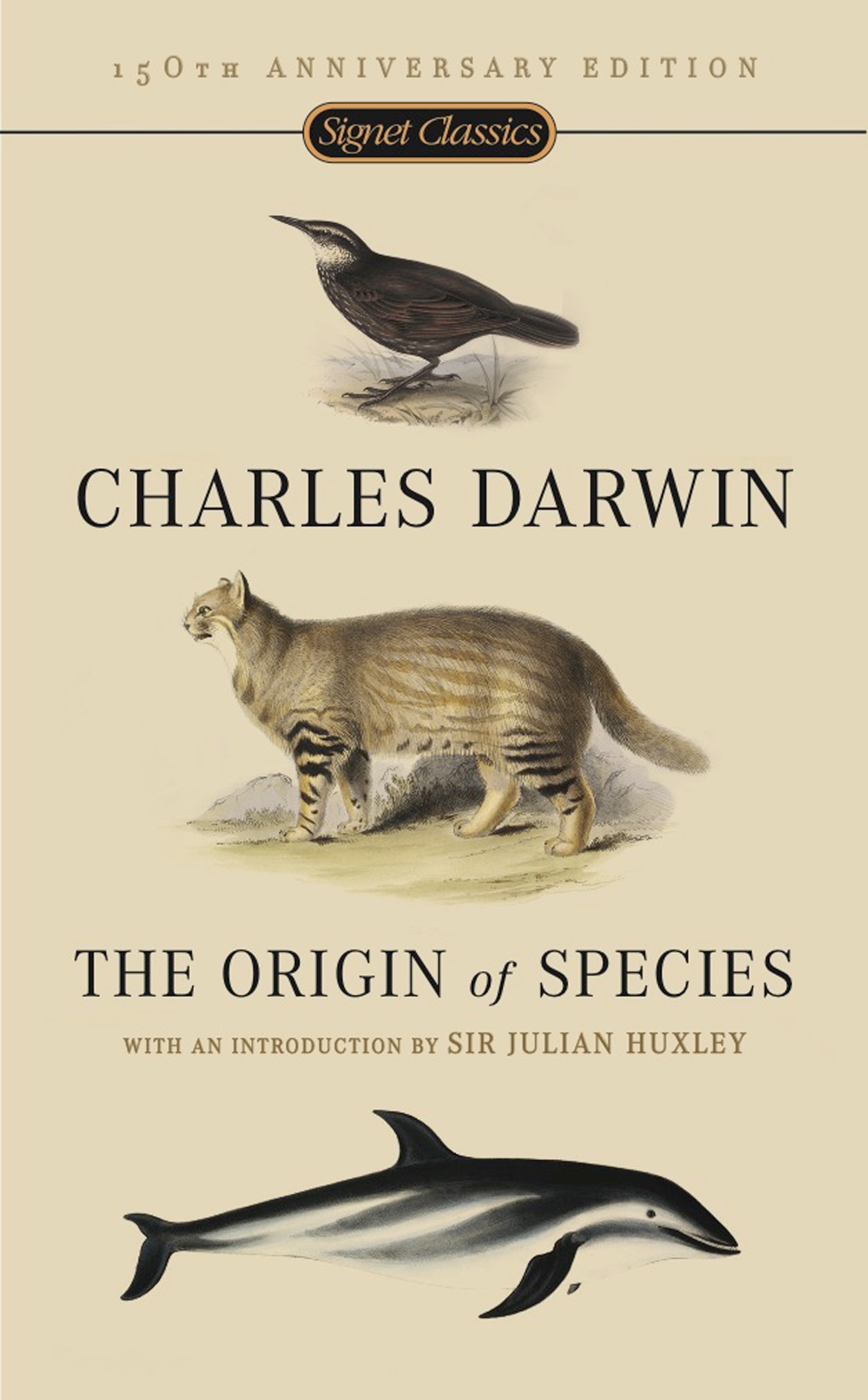 dissertation on species