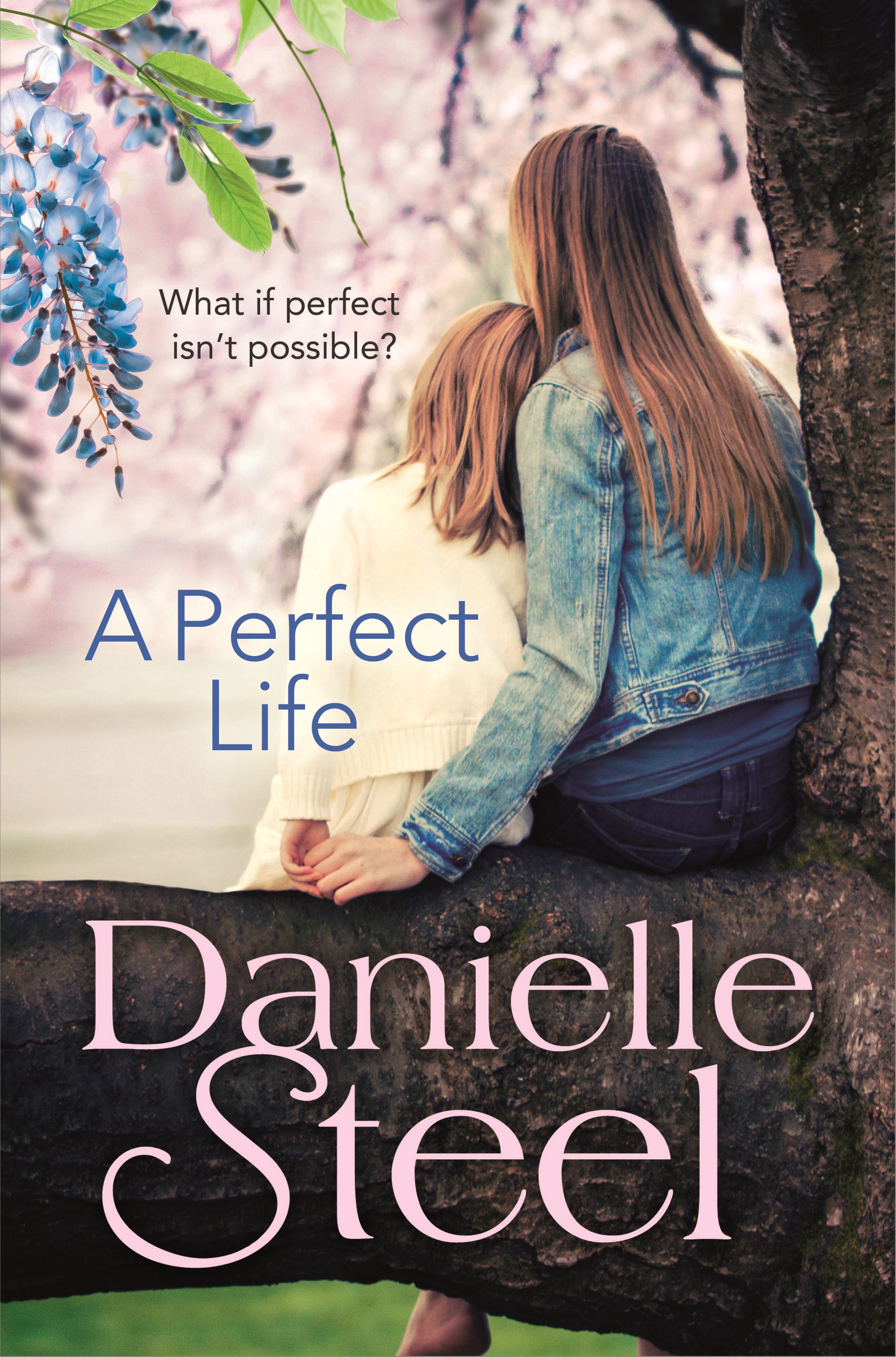 A Perfect Life by Danielle Steel Penguin Books Australia