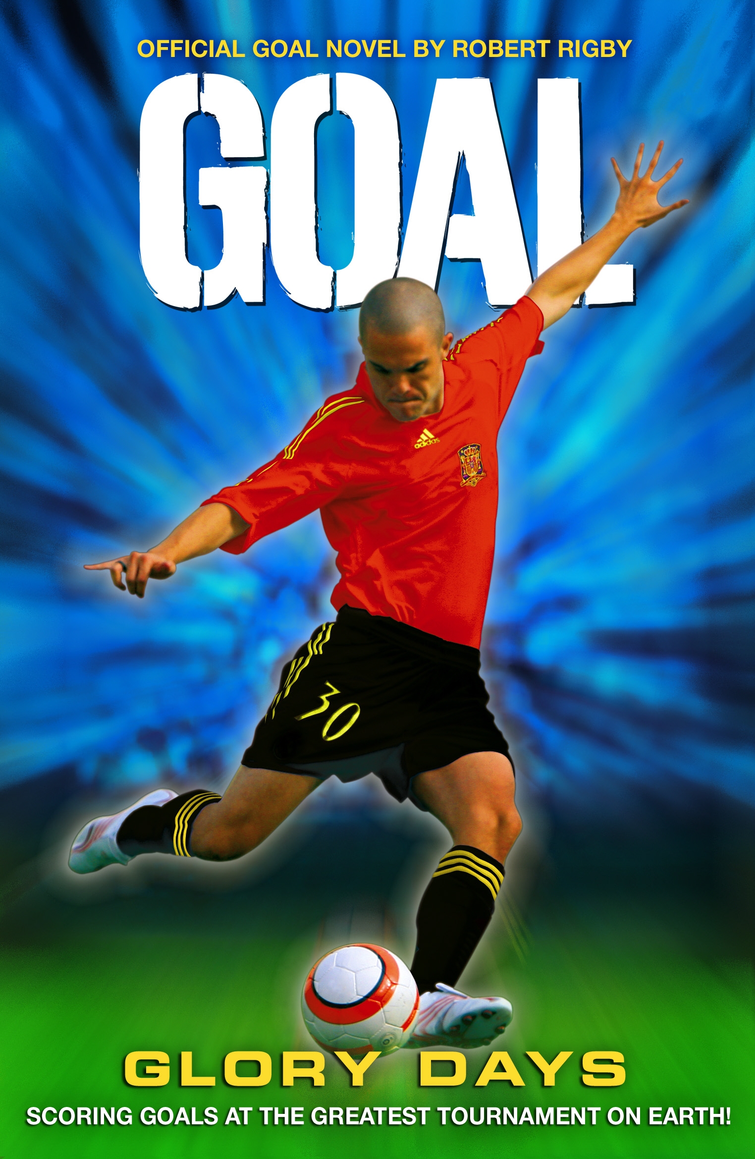 Goal 3 By Robert Rigby Penguin Books Australia