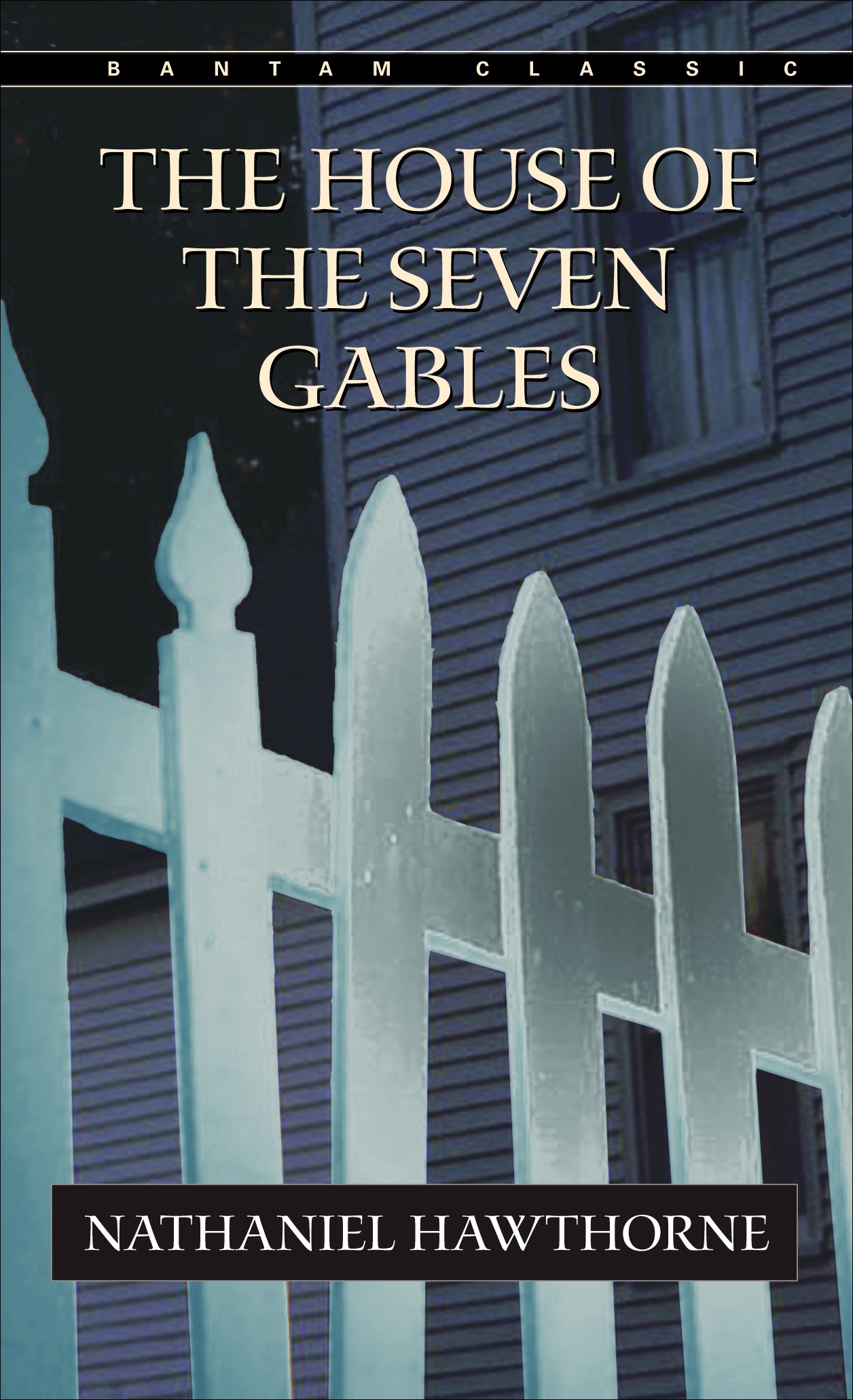 the house of the seven gables book