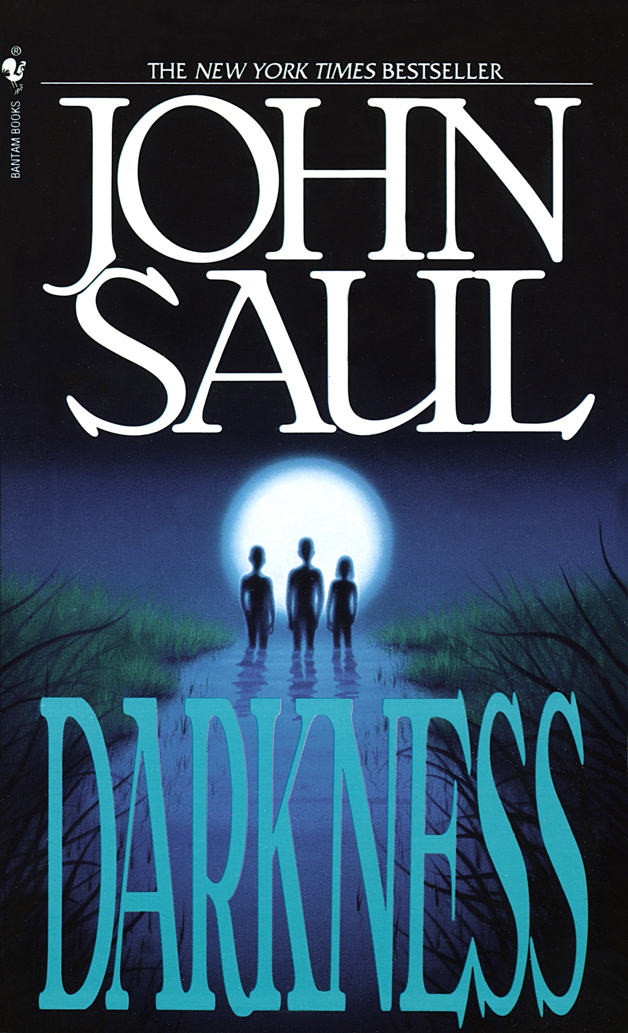 Darkness by John Saul - Penguin Books Australia