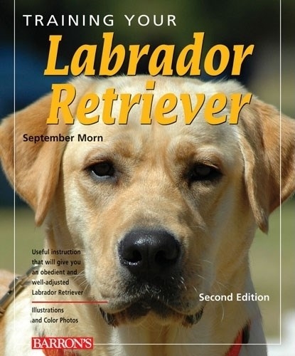 Training Your Labrador Retriever, 2E by September Morn - Penguin Books ...