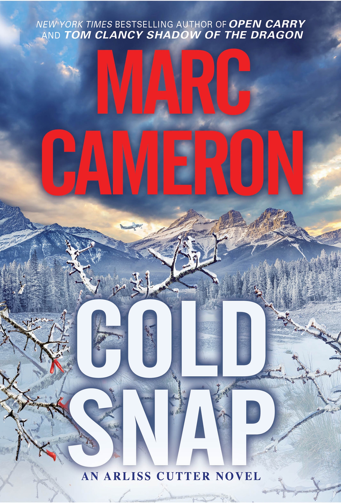 Cold Snap By Marc Cameron Penguin Books Australia