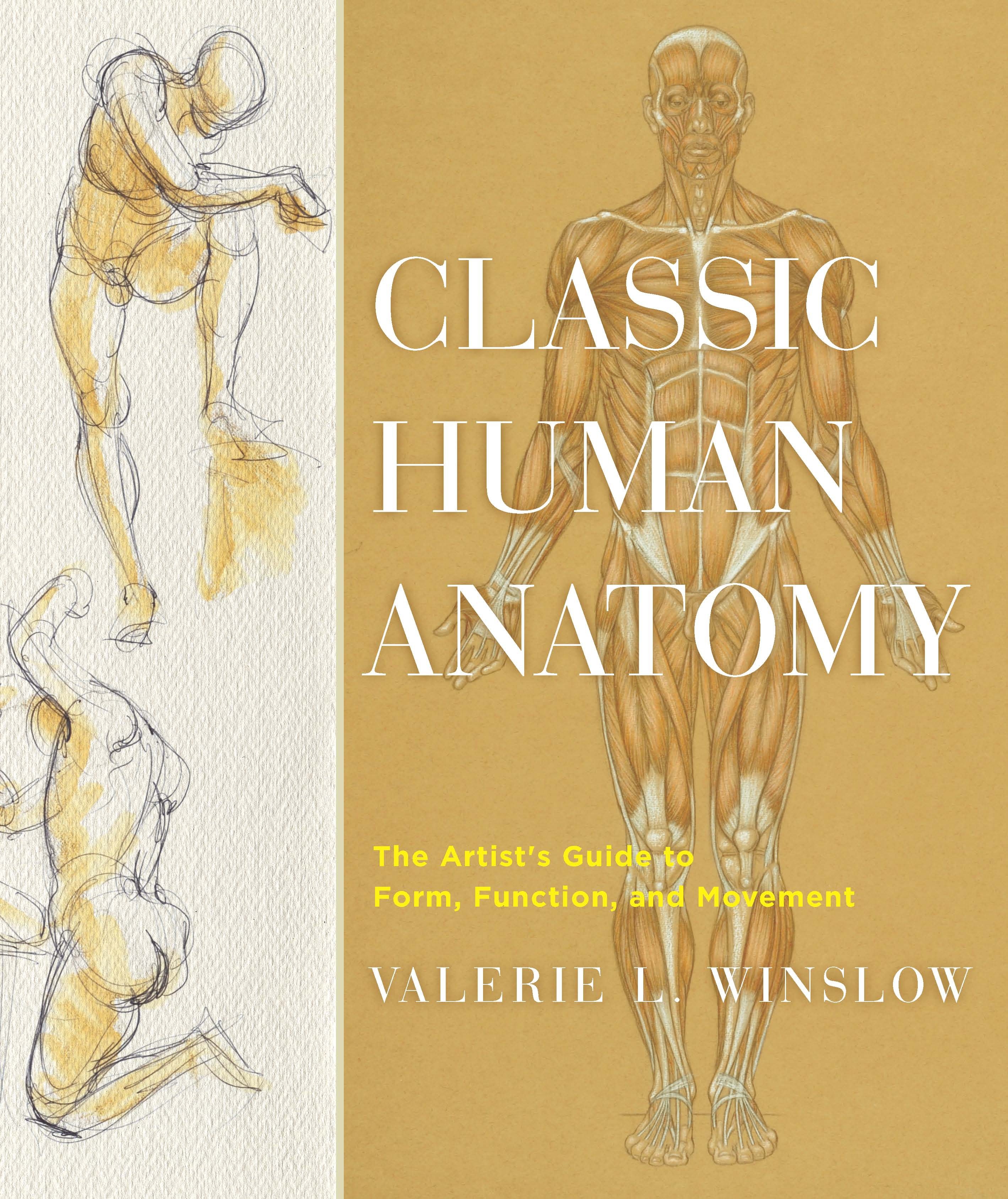 Classic Human Anatomy by Valerie L. Winslow Penguin Books New Zealand