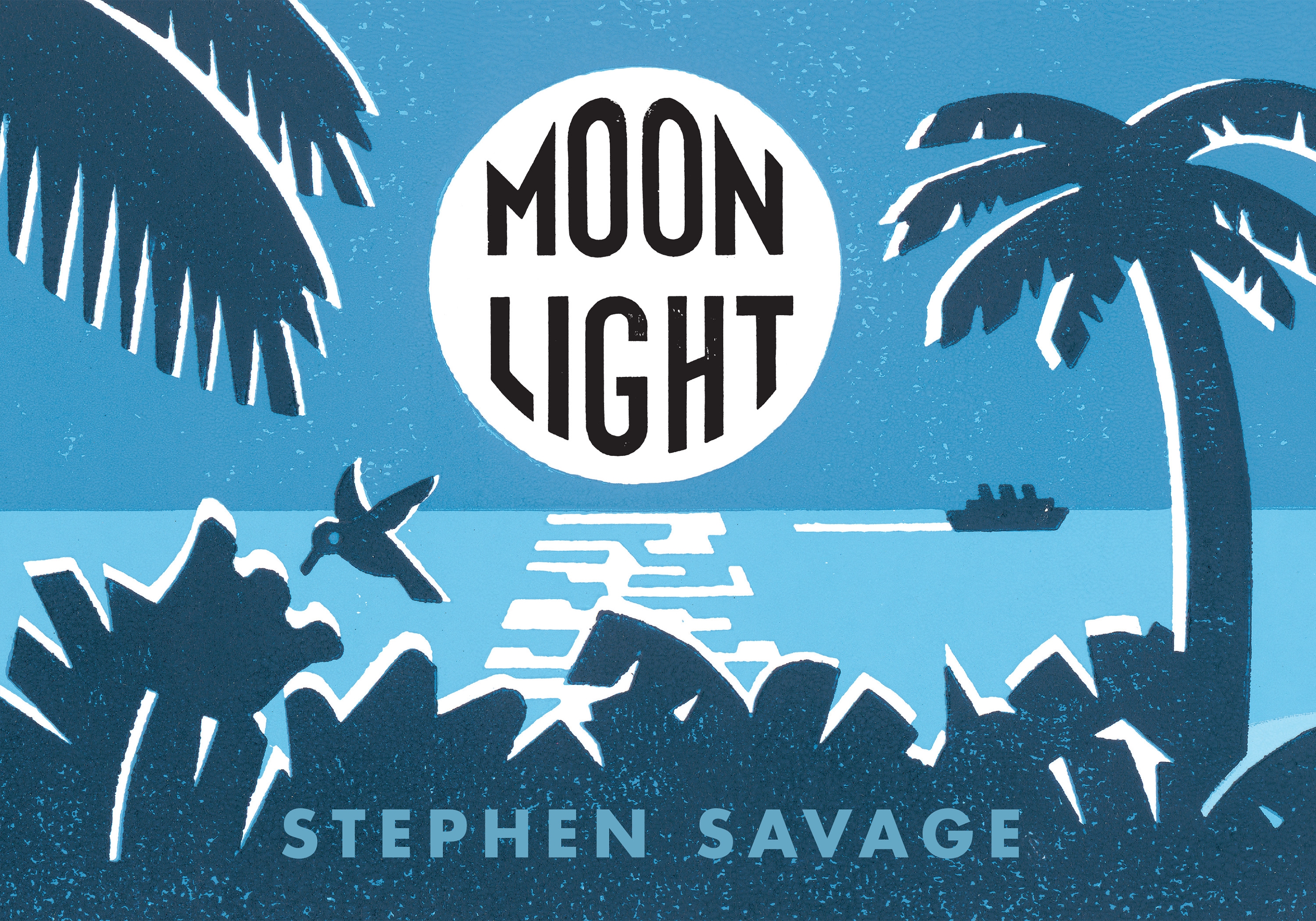 Moonlight by Stephen Savage - Penguin Books Australia