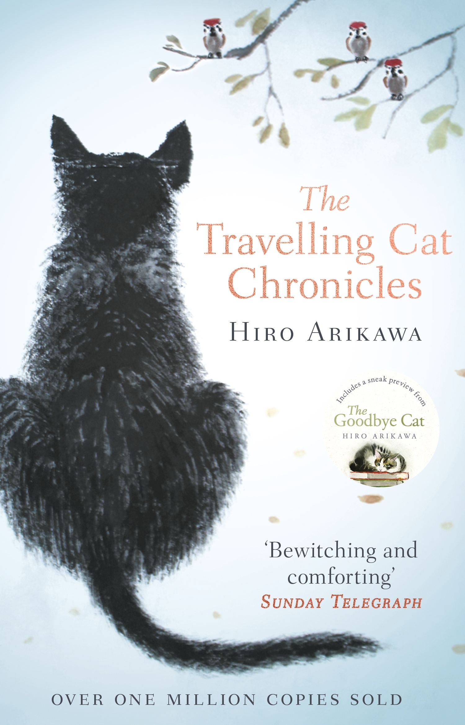 the travelling cat chronicles age