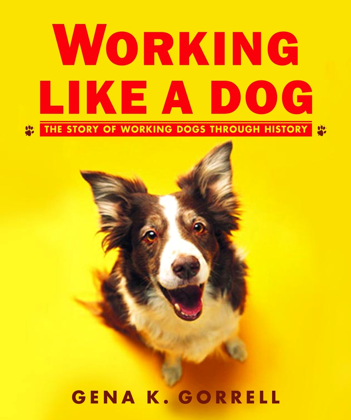 Working Like a Dog by Gena K. Gorrell - Penguin Books Australia