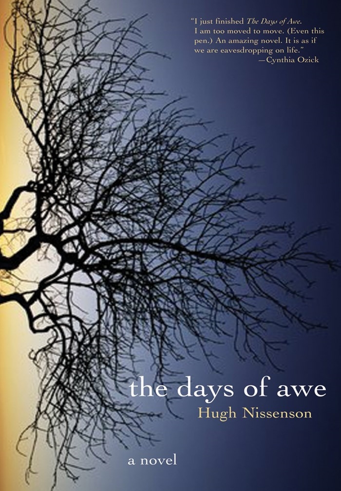 The Days of Awe by Hugh Nissenson - Penguin Books New Zealand