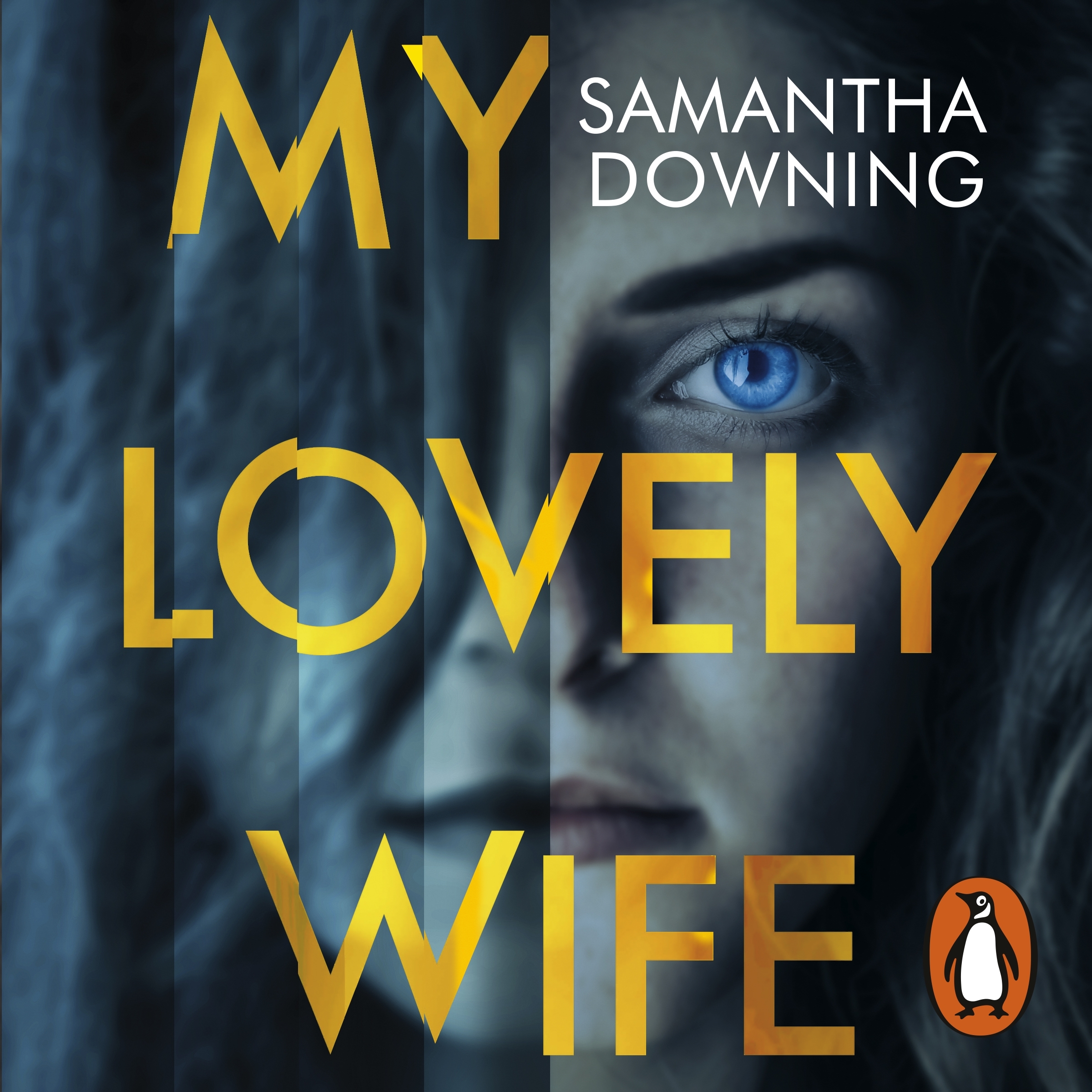 novel my lovely wife