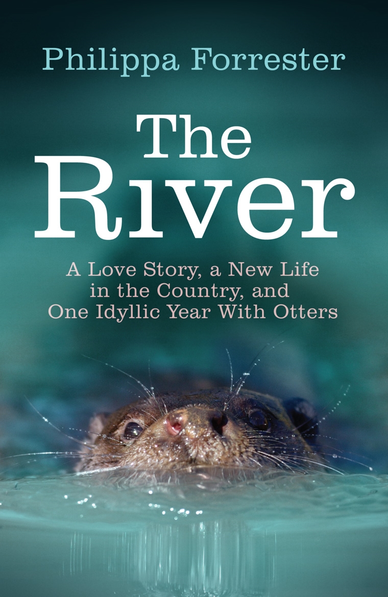 The River A Love Story A New Life In The Country And One Idyllic Year
Filming Otters